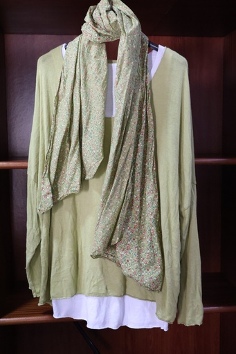 Conjunto: Brisa de Primavera verde